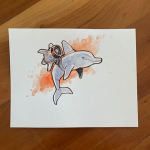 Dolphin Jet