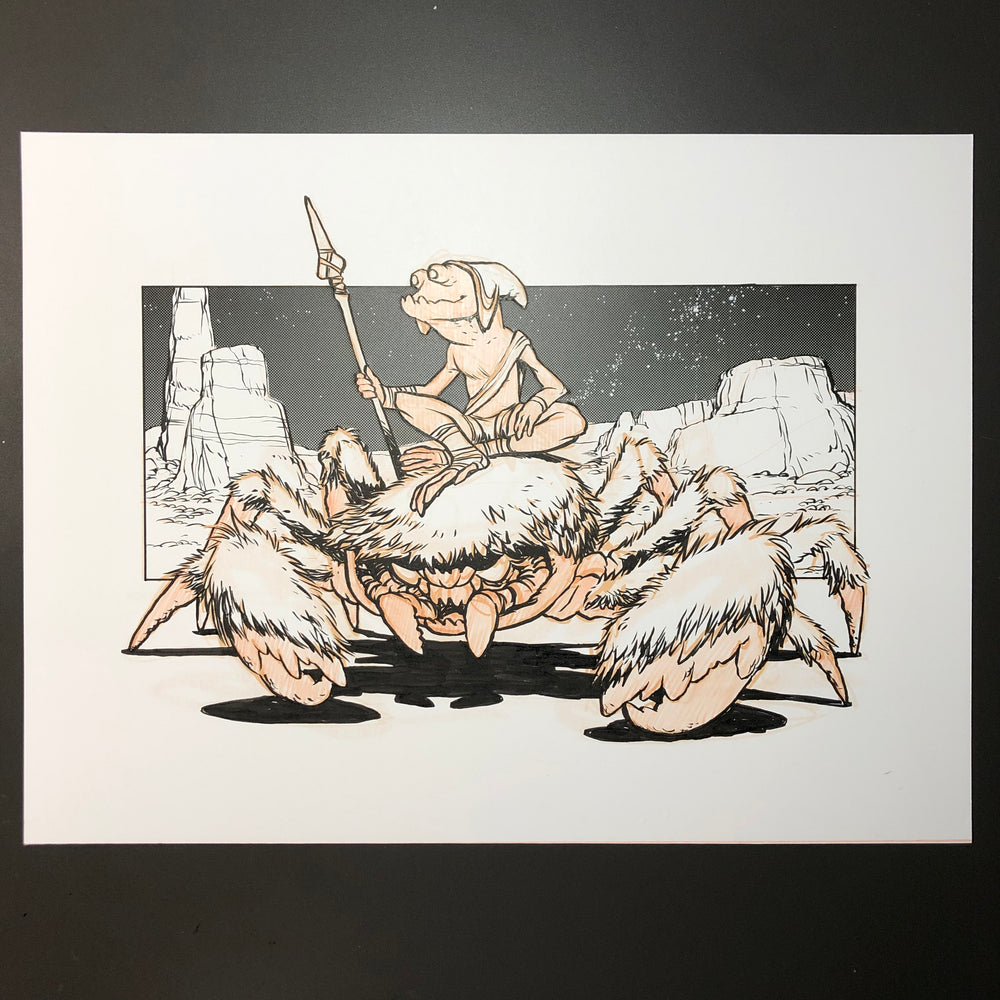 Wooly Crab Drawing